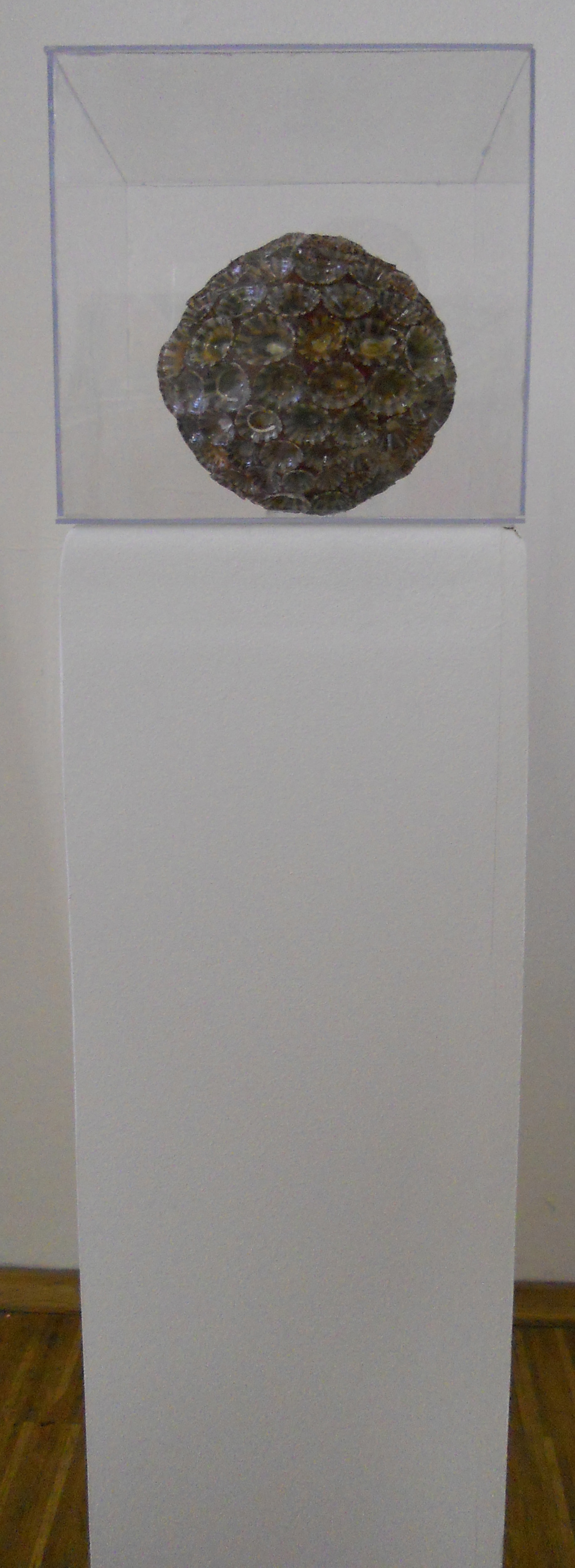 MW 16 (Hohe Aufl&ouml;sung)